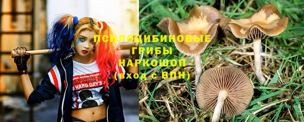 гидропоника Великий Новгород