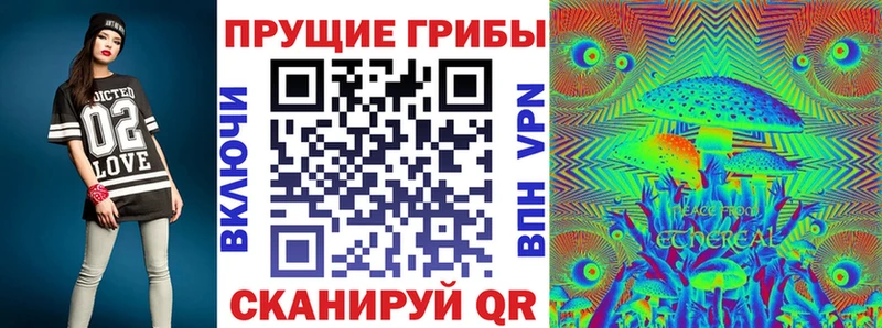Галлюциногенные грибы Psilocybe  Сасово 